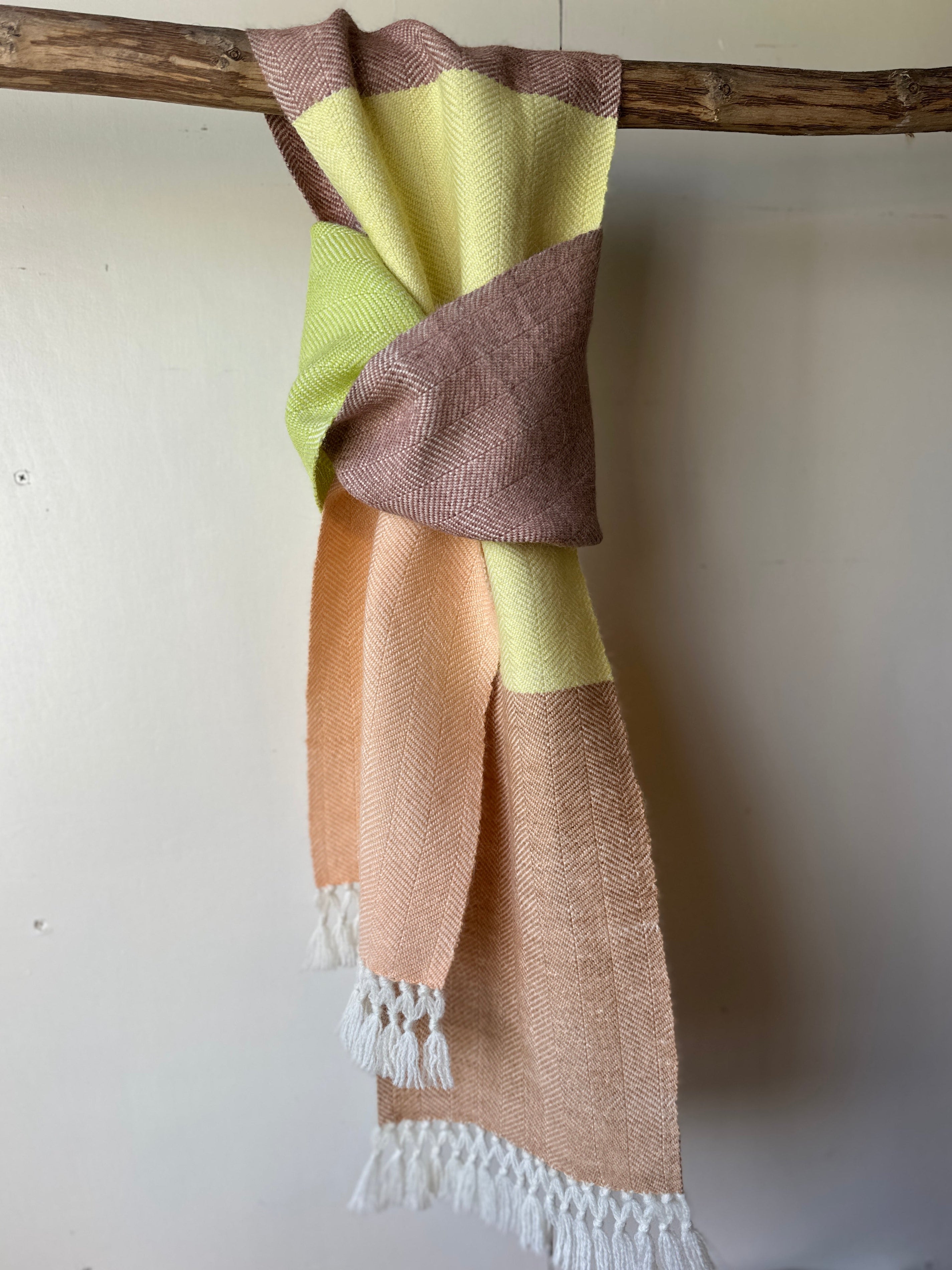 Colourful woven scarf with tassels draped over a branch against a white wall.