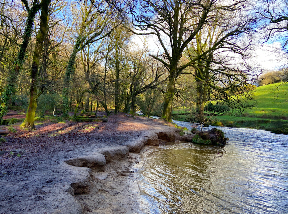 Ready to Ship - Winter Falls Plaid Scarf